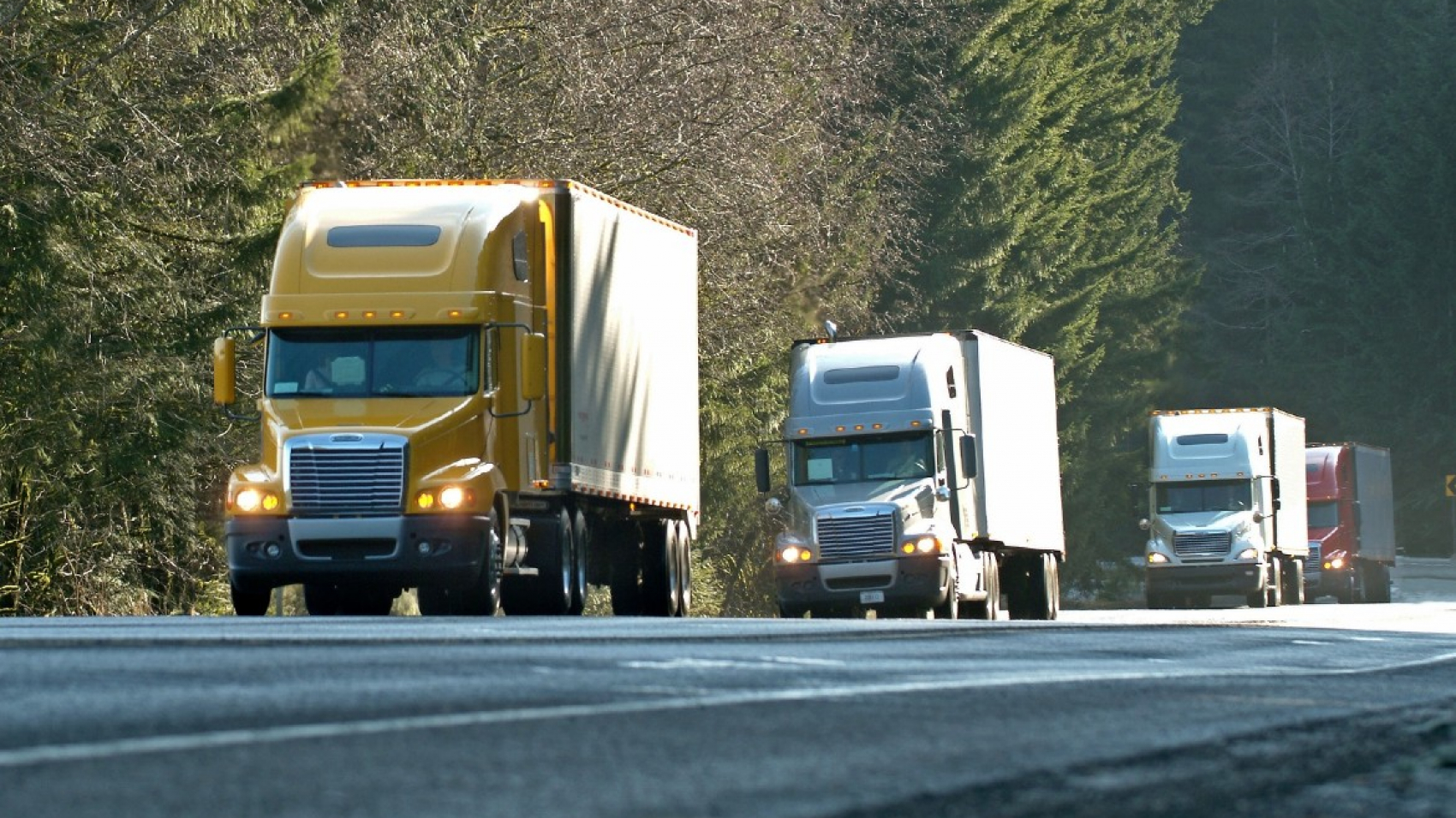 Digitalización de flotas