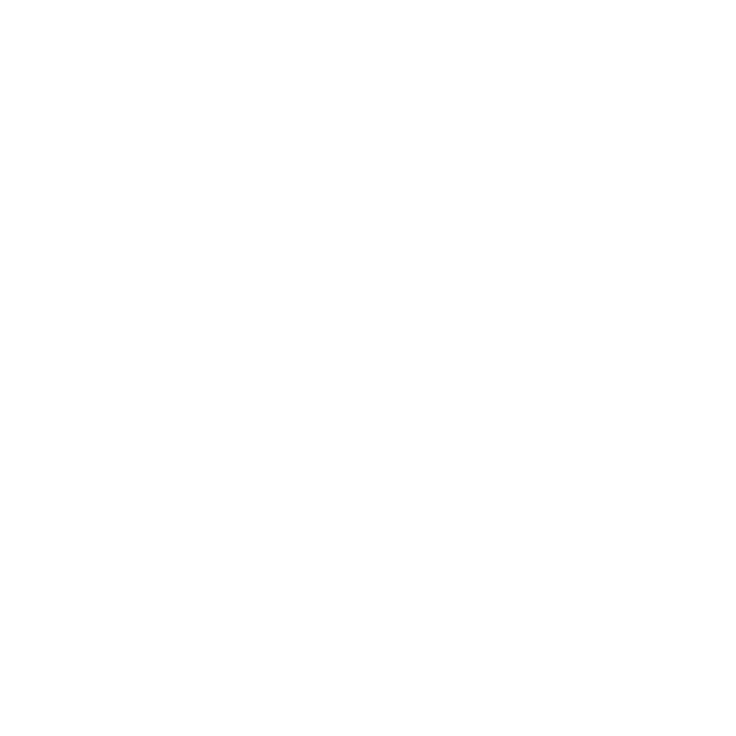 ICONOS PARA LANDING IRIS FLEET-09