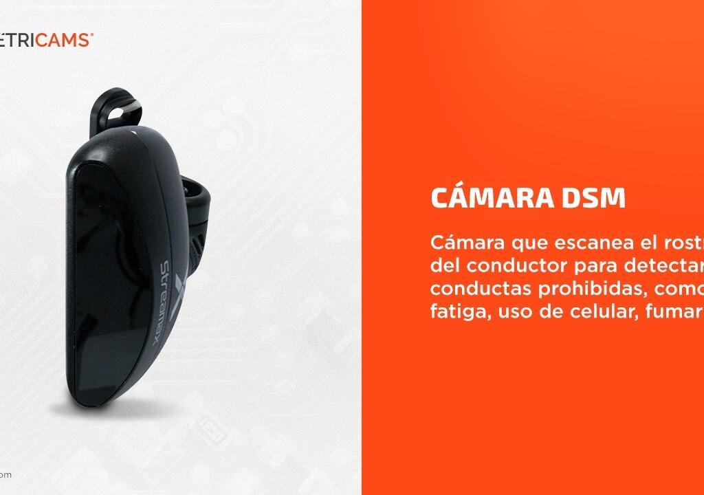 Cámara DSM